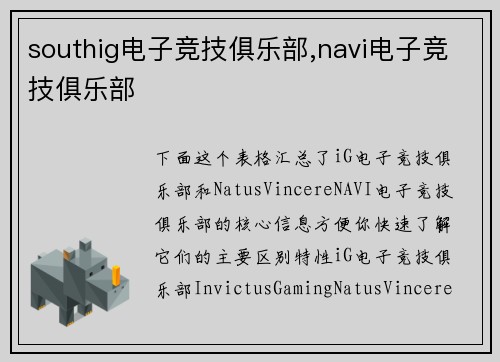 southig电子竞技俱乐部,navi电子竞技俱乐部